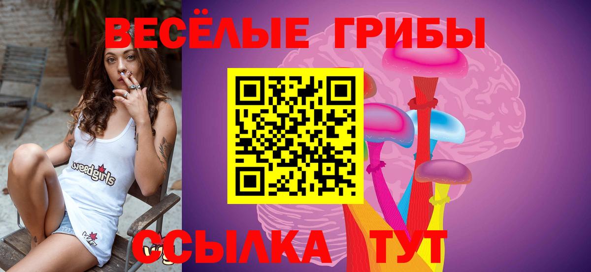 Псилоцибиновые грибы мицелий Кинешма